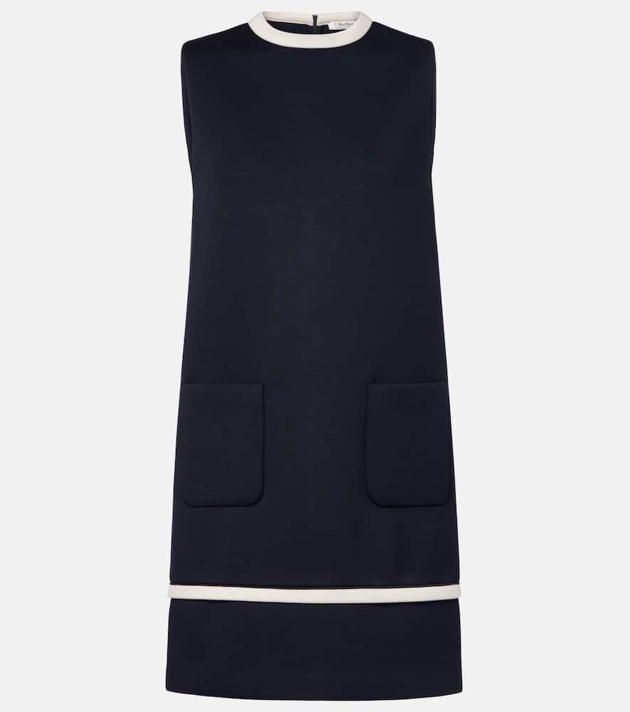 's max mara lago minidress