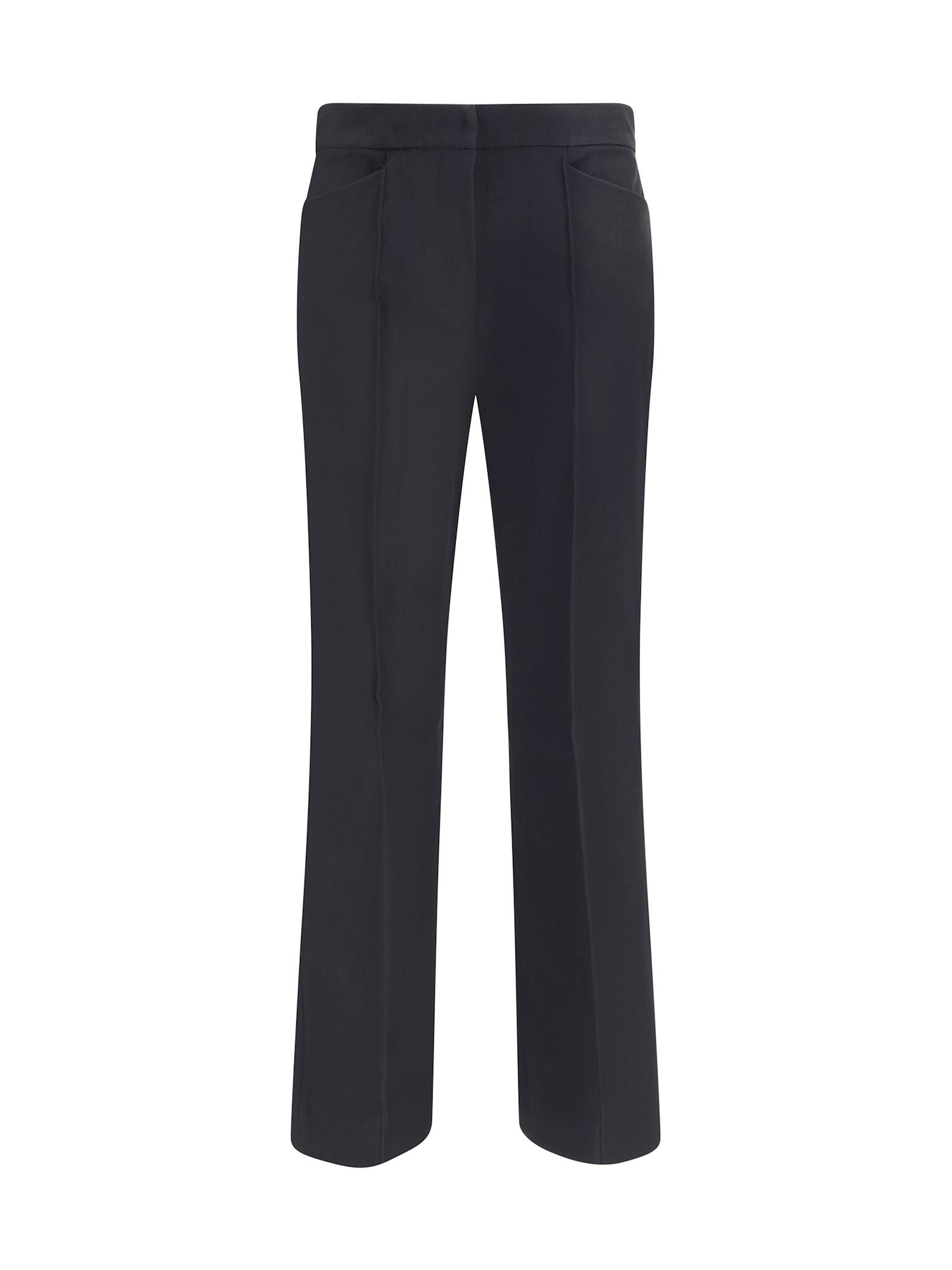 's max mara zaffiro pants