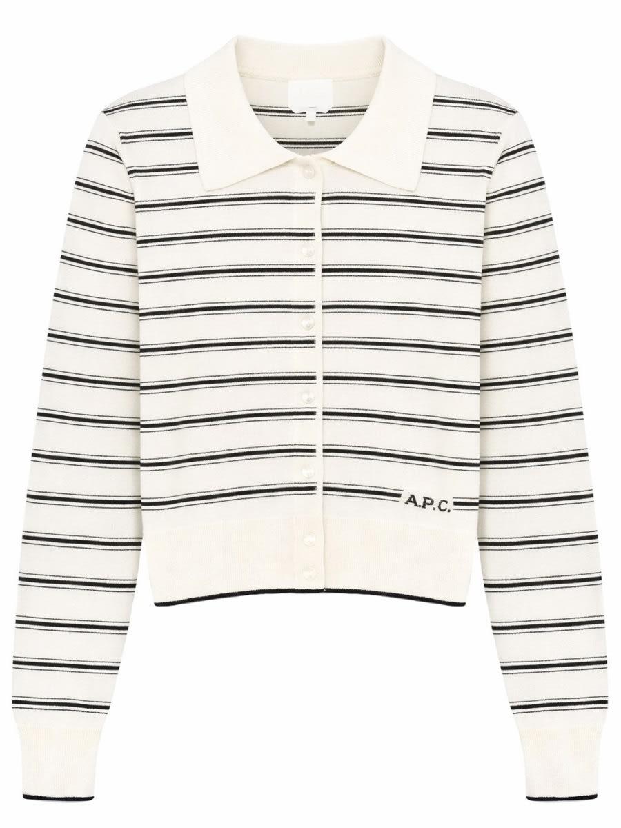 a. p.c. cardigan with polo collar