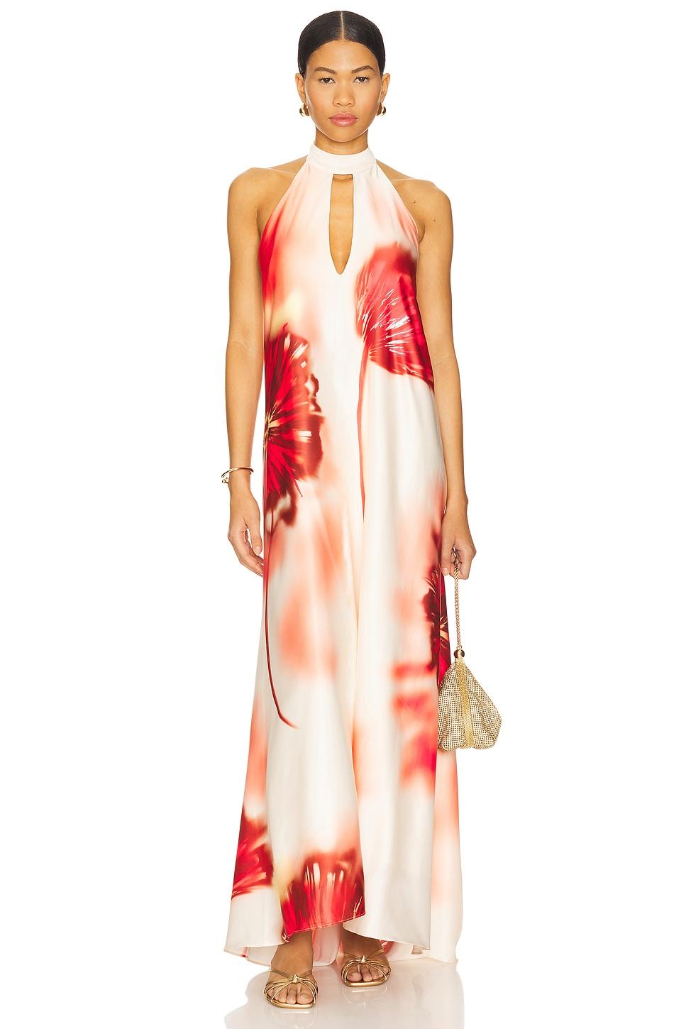 acidic long dress