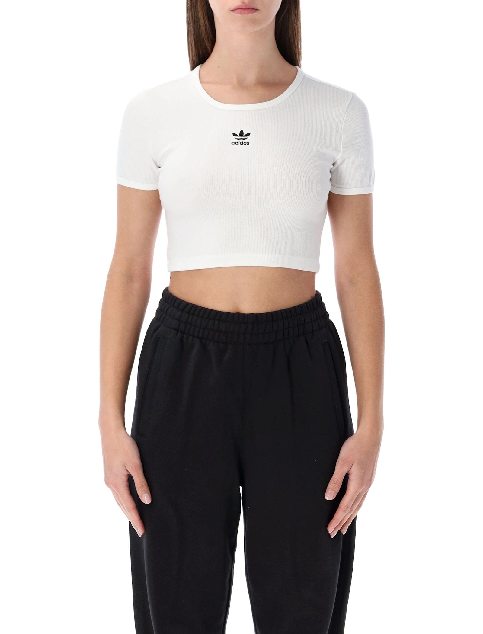 adidas originals essentials ribbed cropped t-shirt