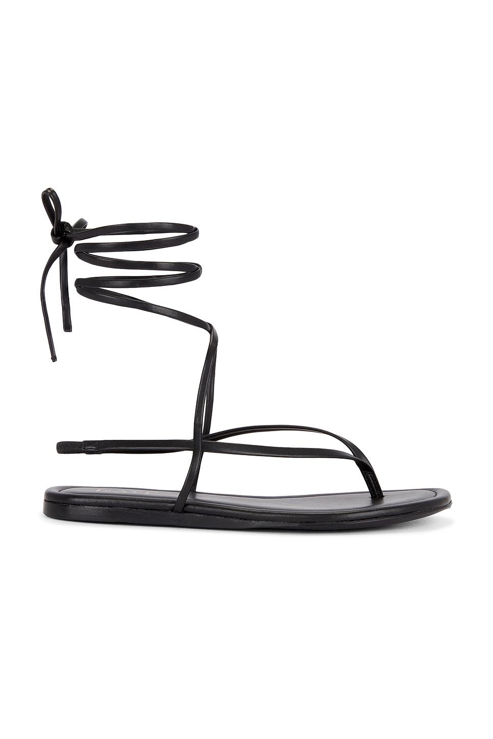 aditi sandal