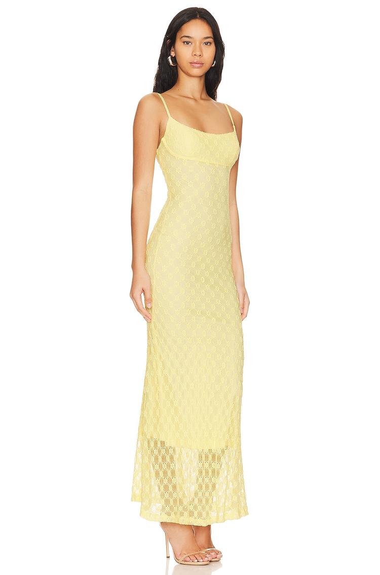 adoni mesh maxi dress