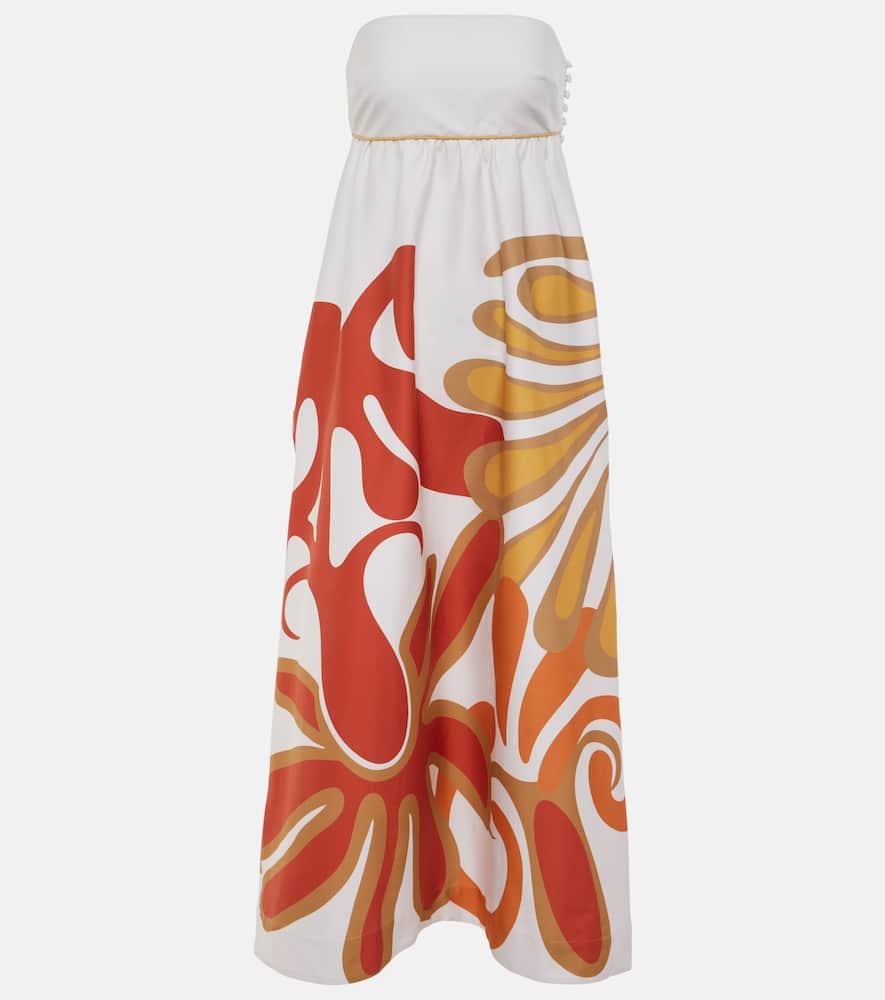 adriana degreas algae cotton