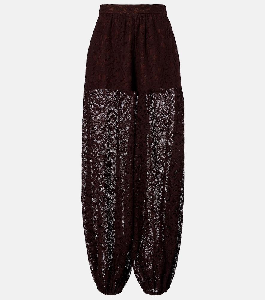 adriana degreas cotton