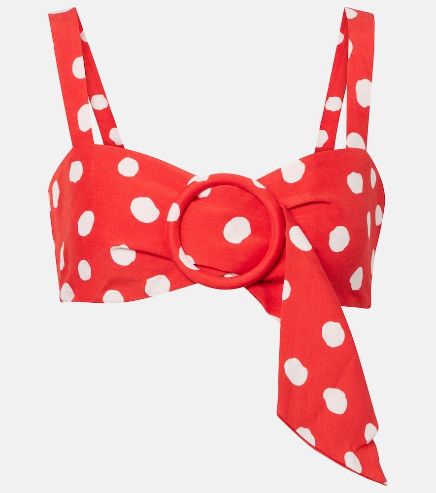 adriana degreas polka