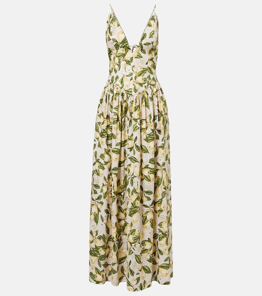 adriana degreas printed cotton