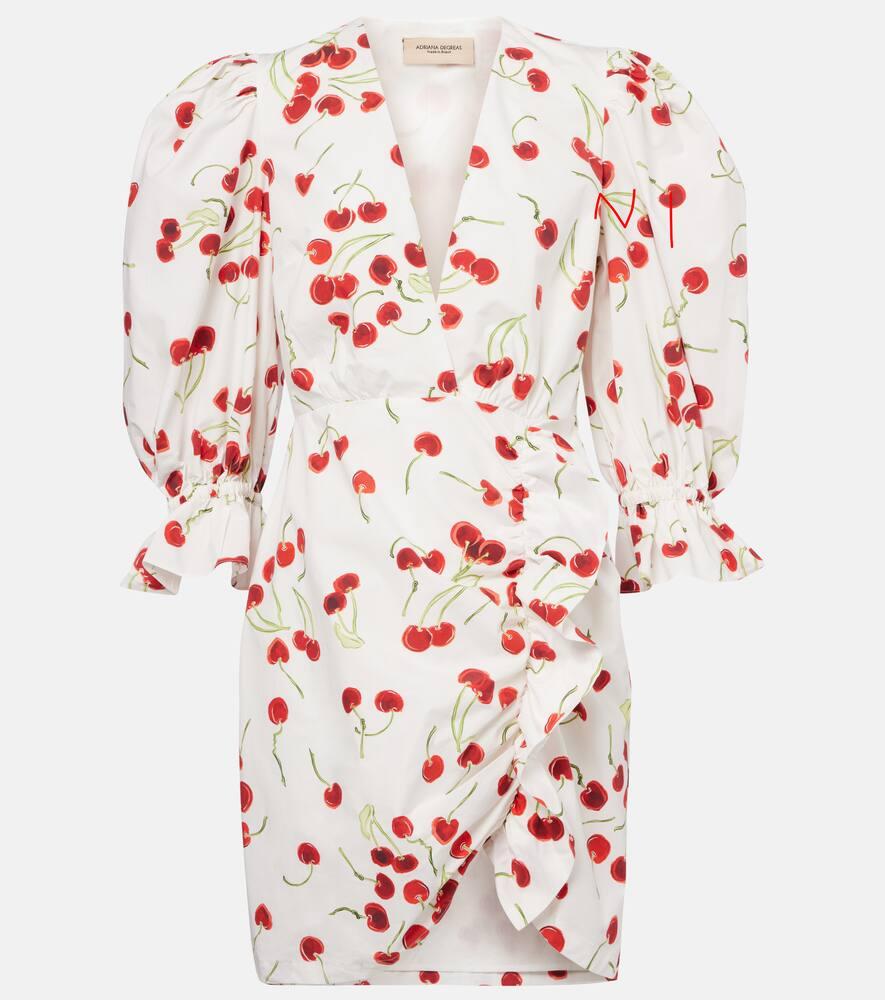 adriana degreas puff