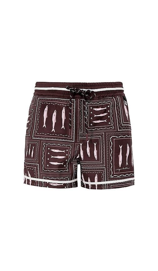 agua bendita kids nick basket swim short in chocolate.