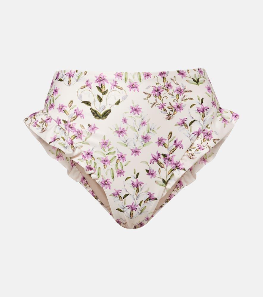agua by agua bendita jengibre floral ruffled bikini bottoms
