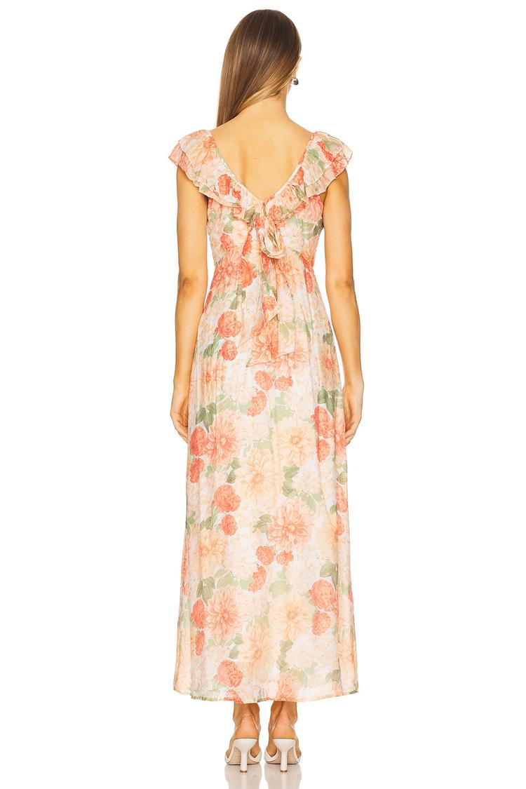 aida frill maxi dress