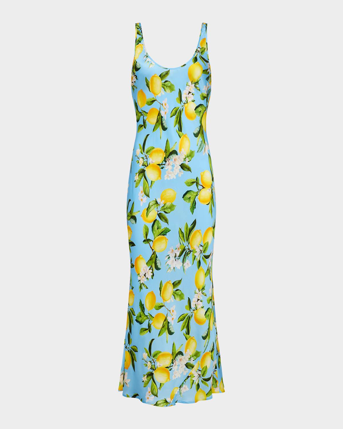 akiya tank dress