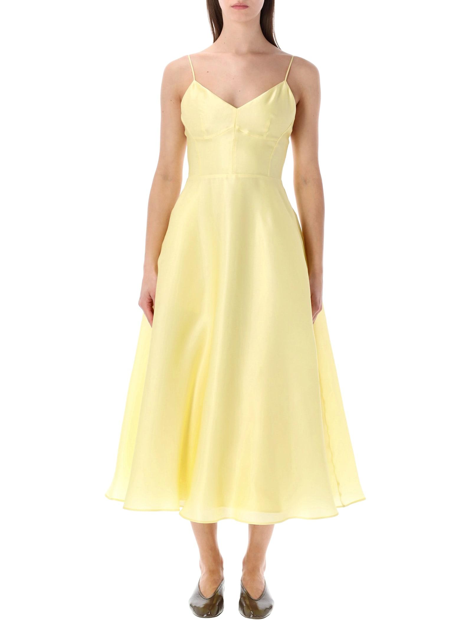alberta ferretti silk organza midi dress