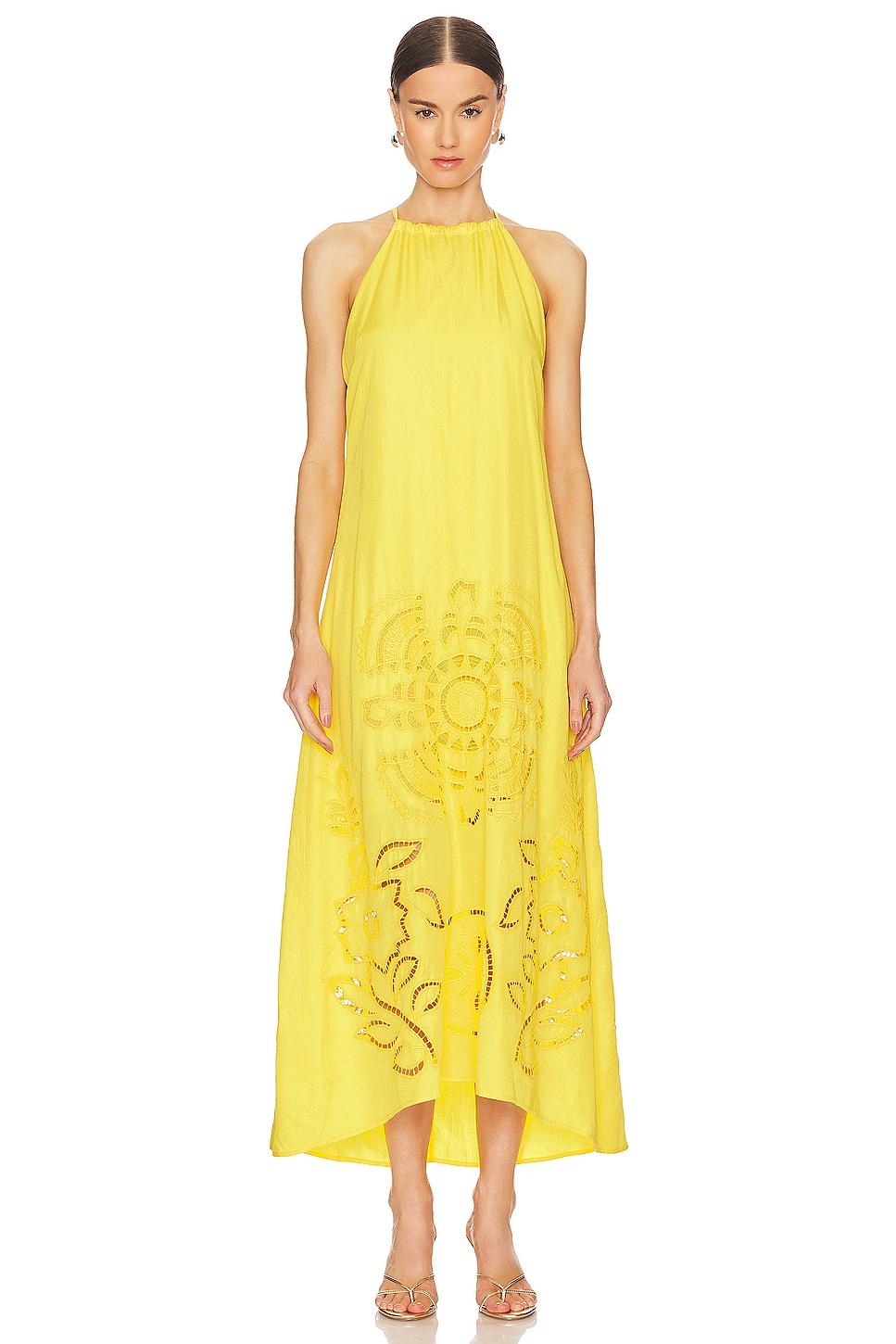 alejandra dress