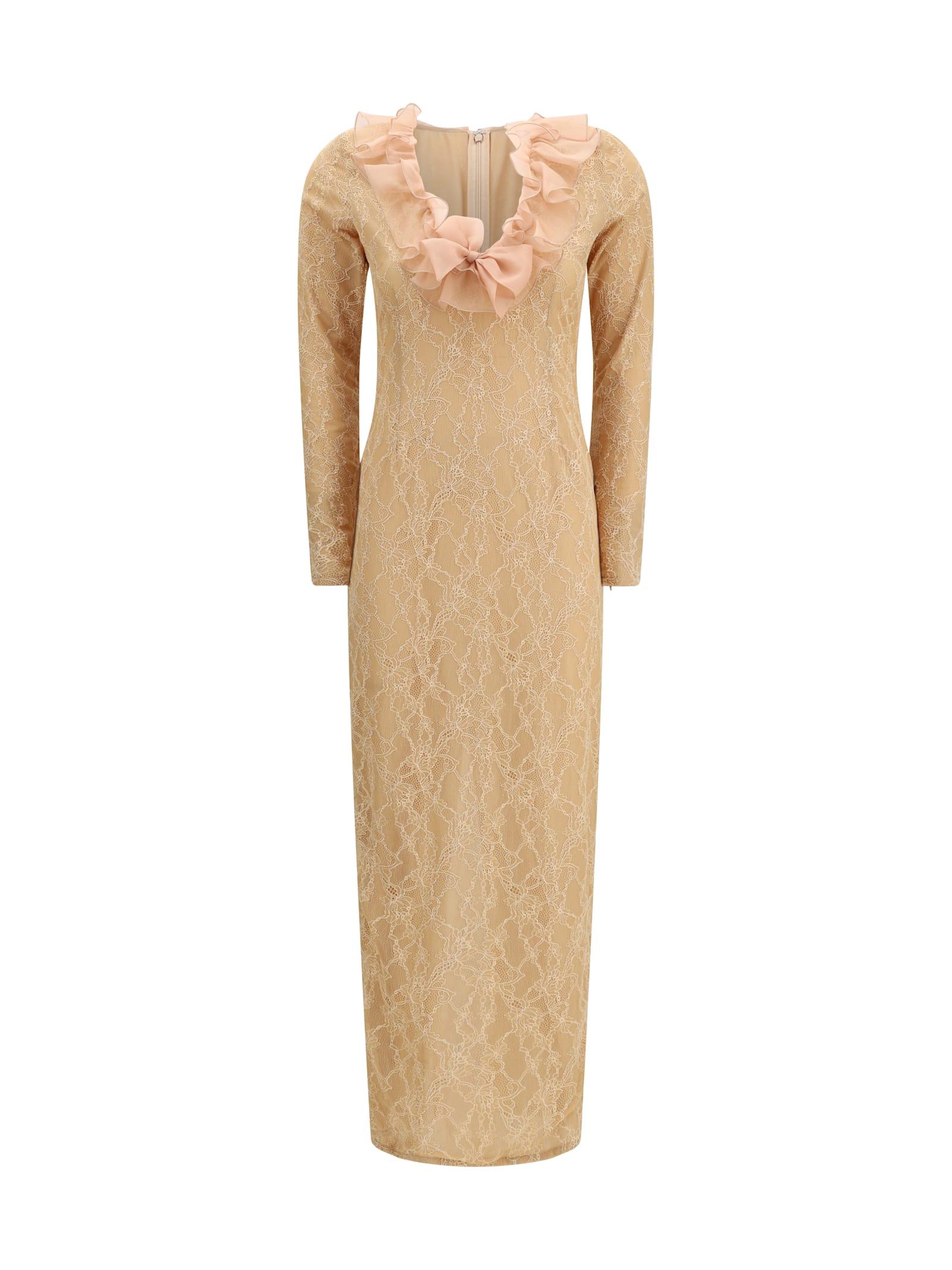 alessandra rich stretch lace evening dress