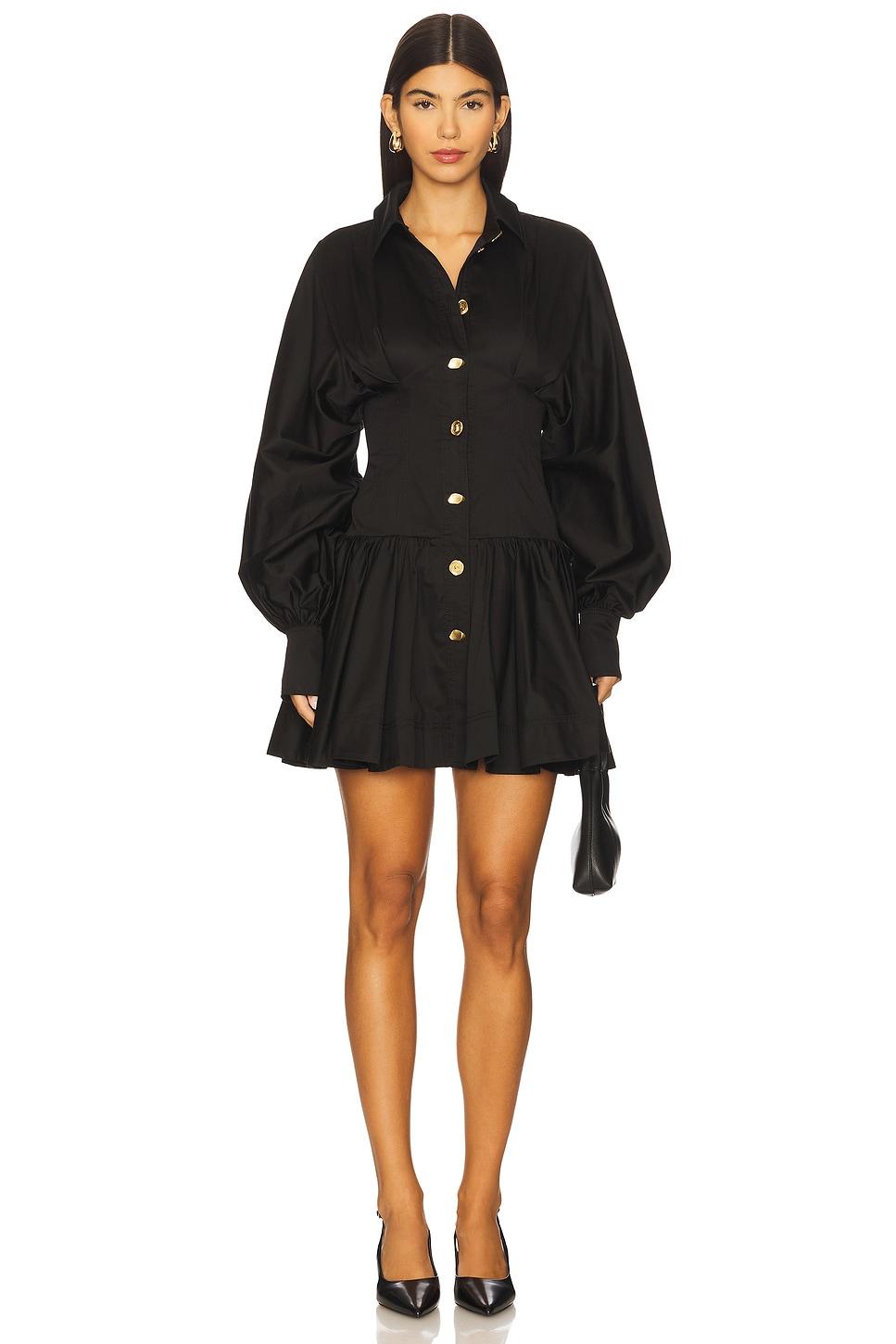 alexa long sleeve mini dress