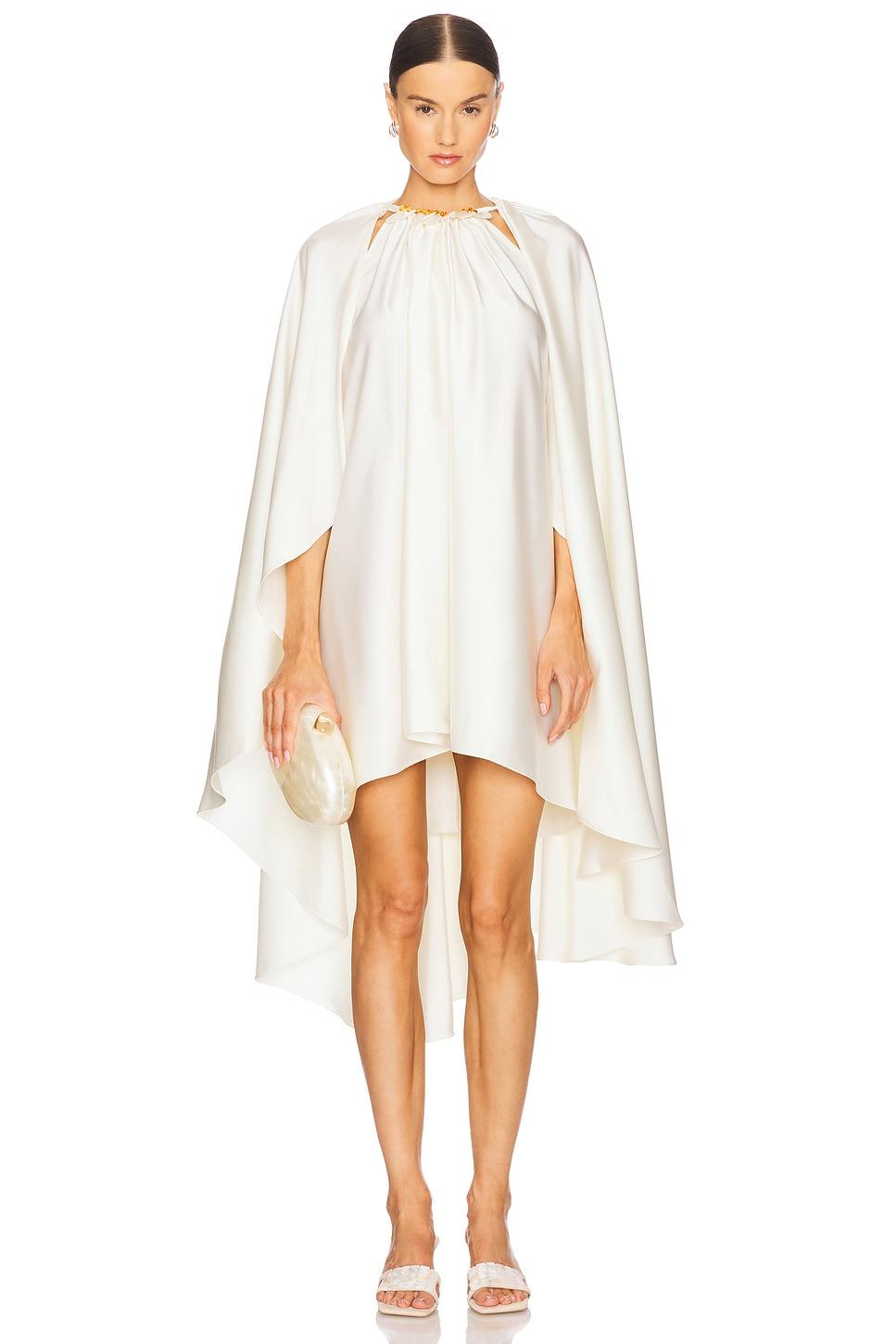 alexander mini dress