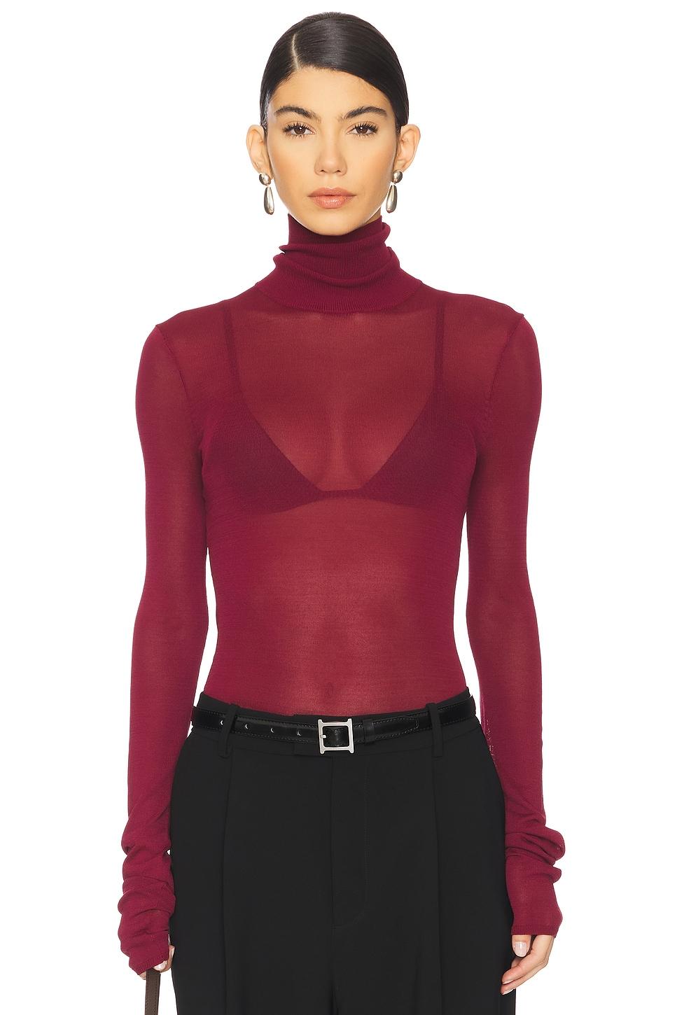 alexander sheer turtleneck sweater
