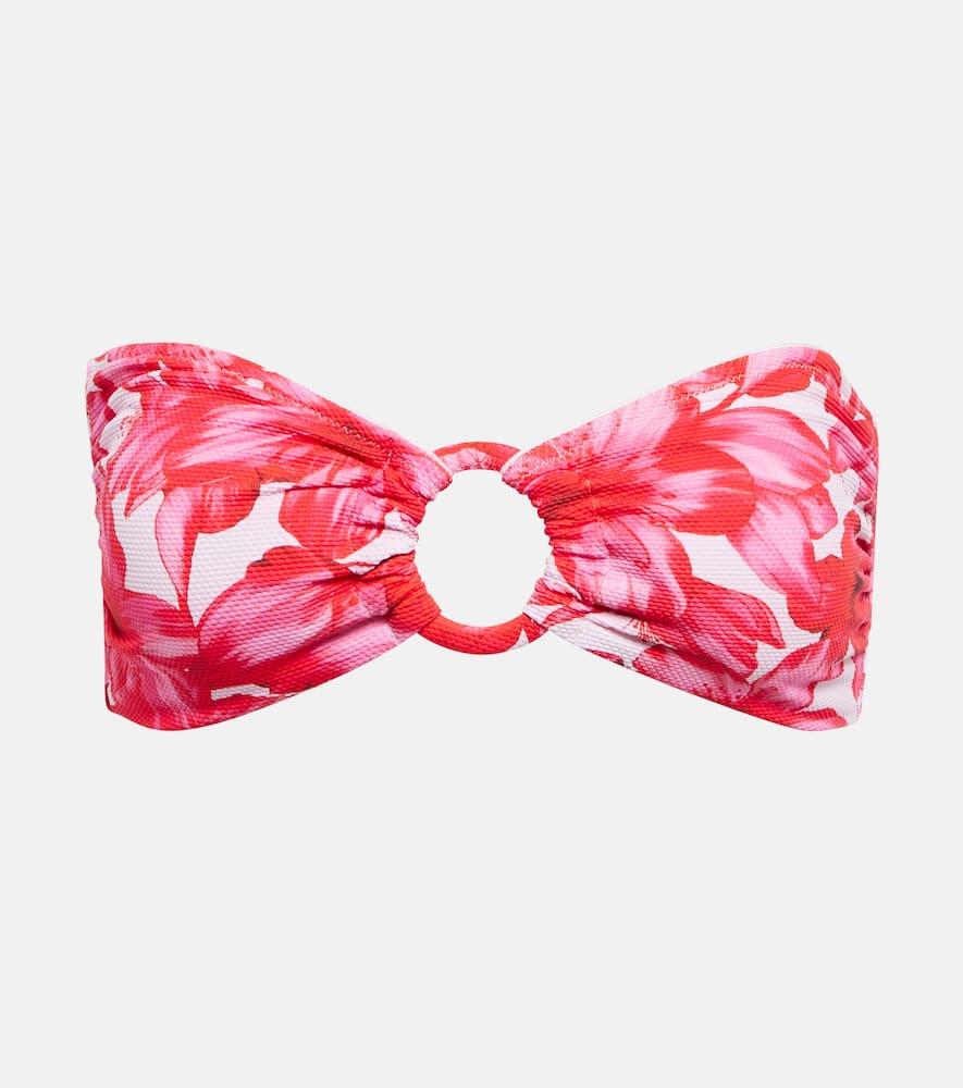 alexandra miro carlotta printed bandeau bikini top