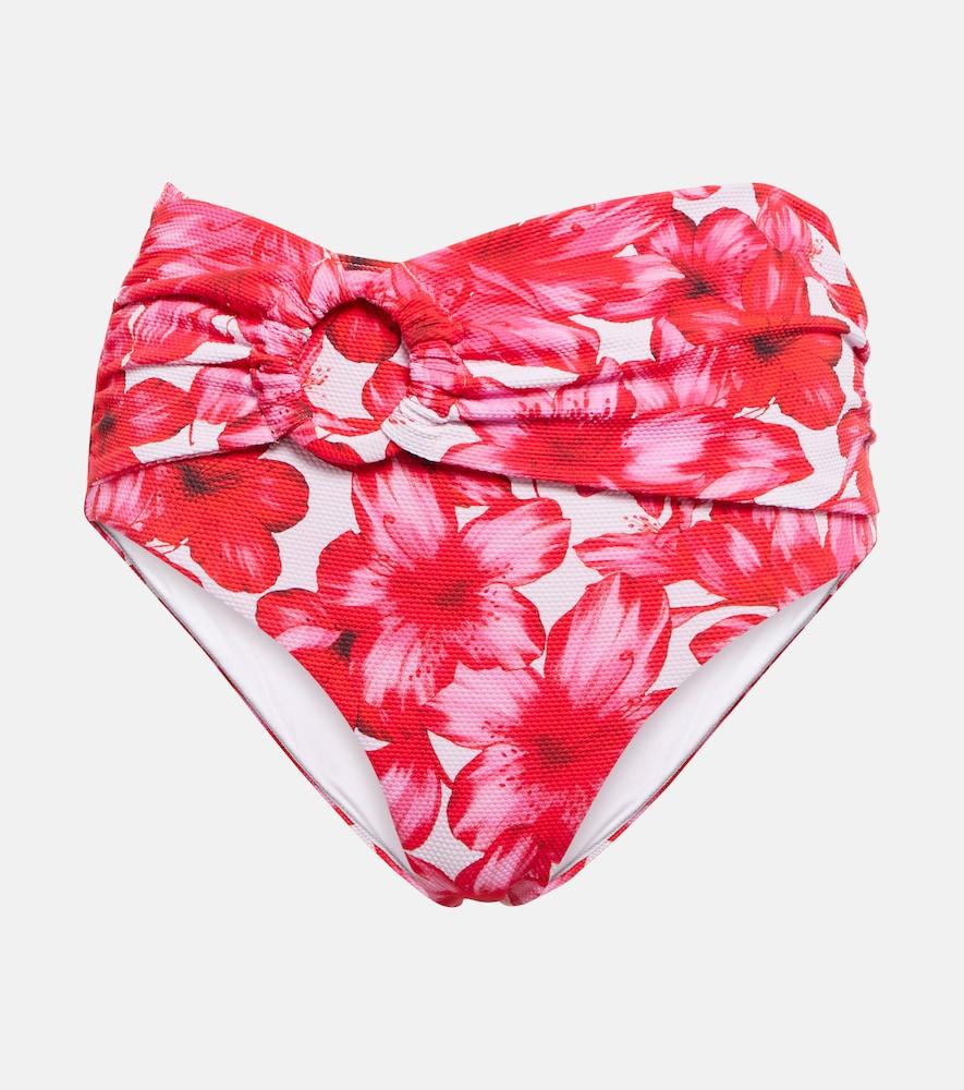 alexandra miro dorit floral bikini bottoms