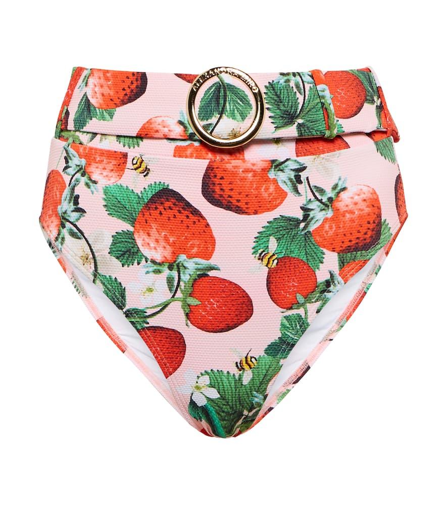 alexandra miro ursula printed bikini bottoms