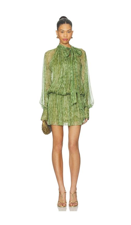 alexis hailey dress in green.