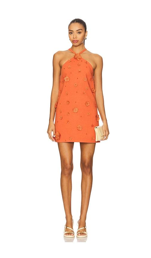 alexis milaa dress in orange.