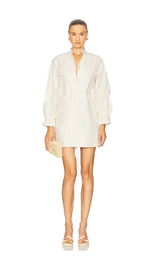 alexis miley dress in ivory.