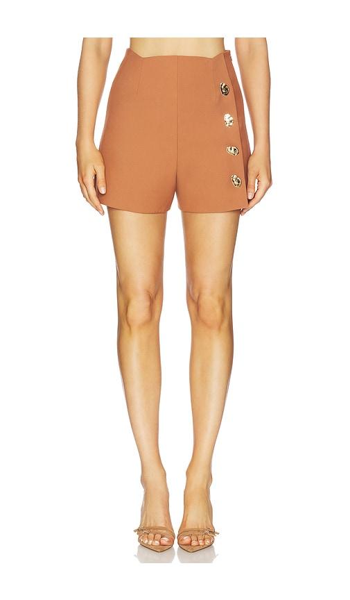 alexis xander shorts in brown.