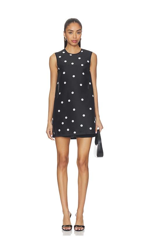 alexis zilez dress in black,white.