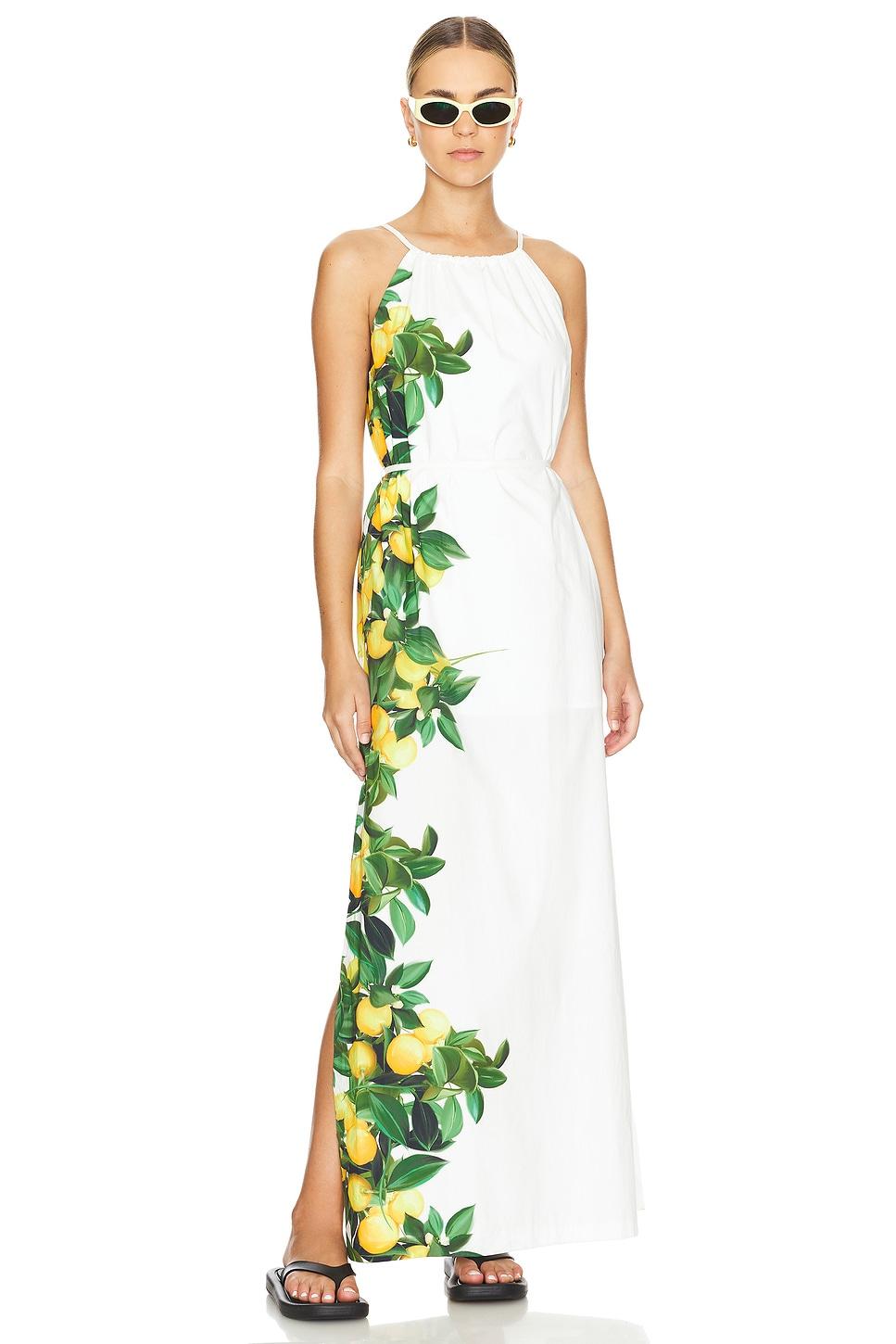 alicanta dress