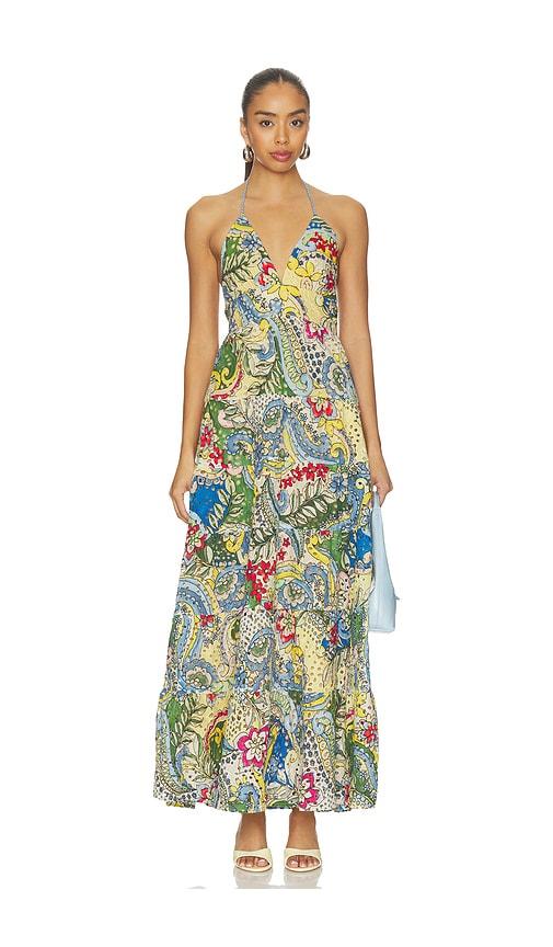 alice + olivia adalyn halter maxi dress in blue,green.