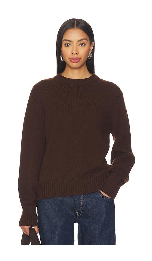 aligne dion crew neck jumper in brown.