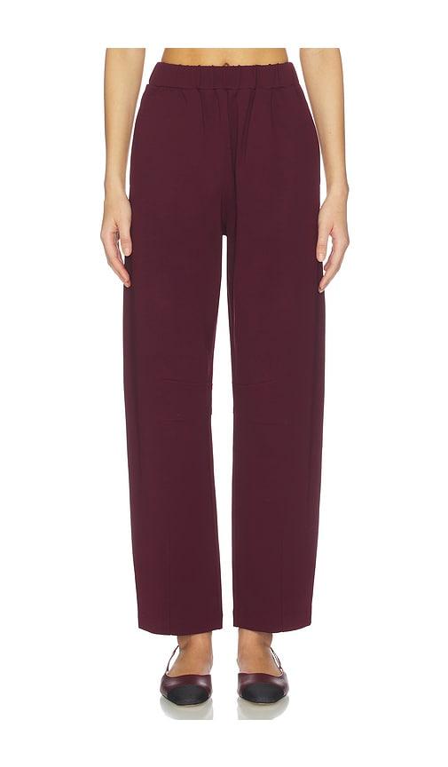 aligne markus ponte trouser in wine.