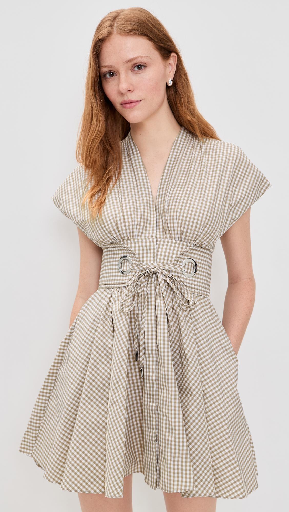 alizee gingham dress