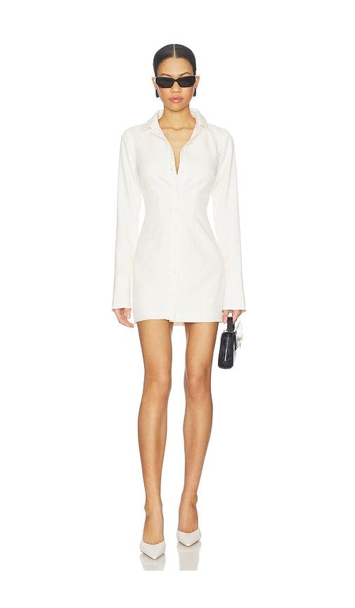 all the ways belina mini dress in ivory.