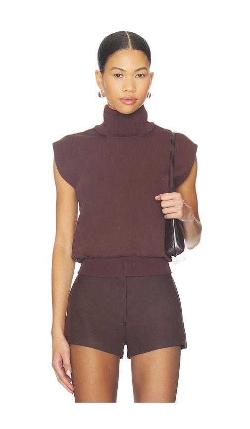 all the ways elisha turtleneck top in brown.