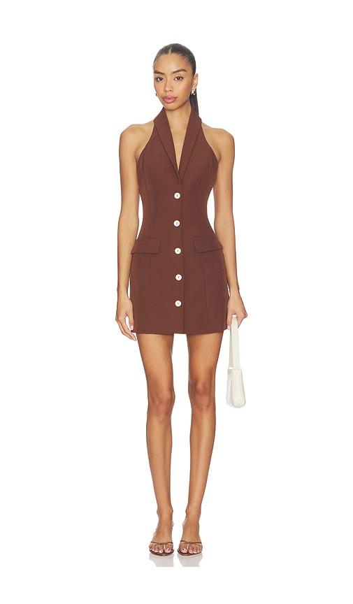 all the ways indiana mini dress in brown.