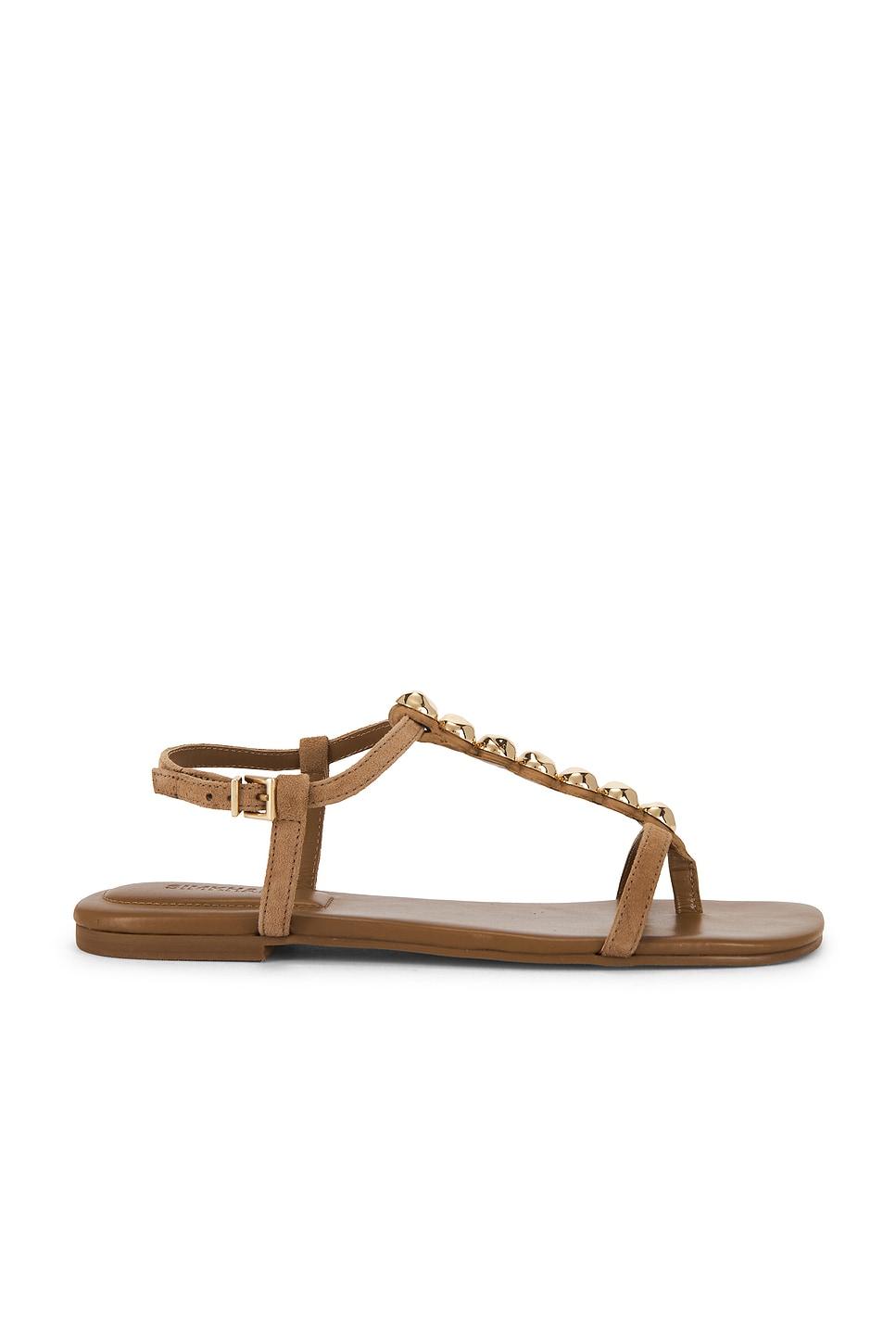 amaya suede thong flat sandal