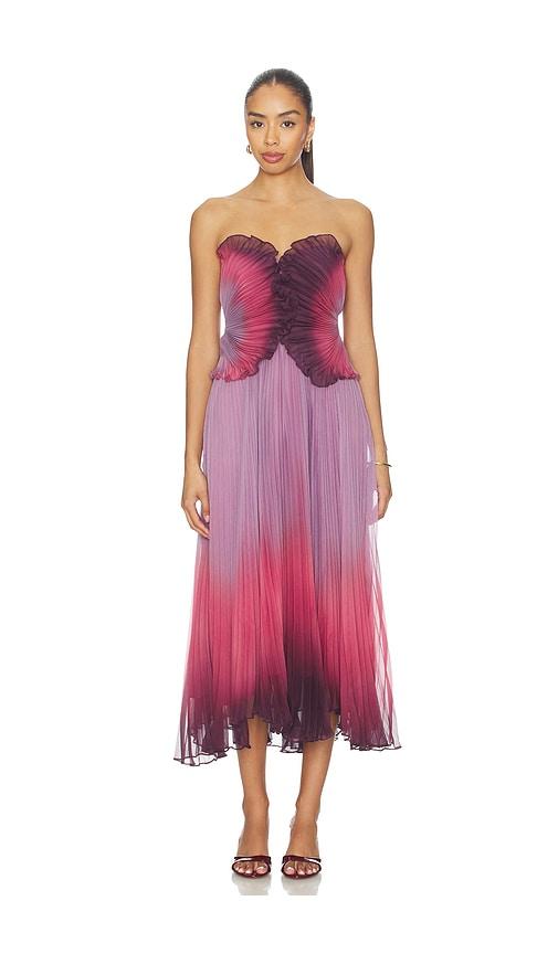 amur delyth strapless dress in purple,burgundy.