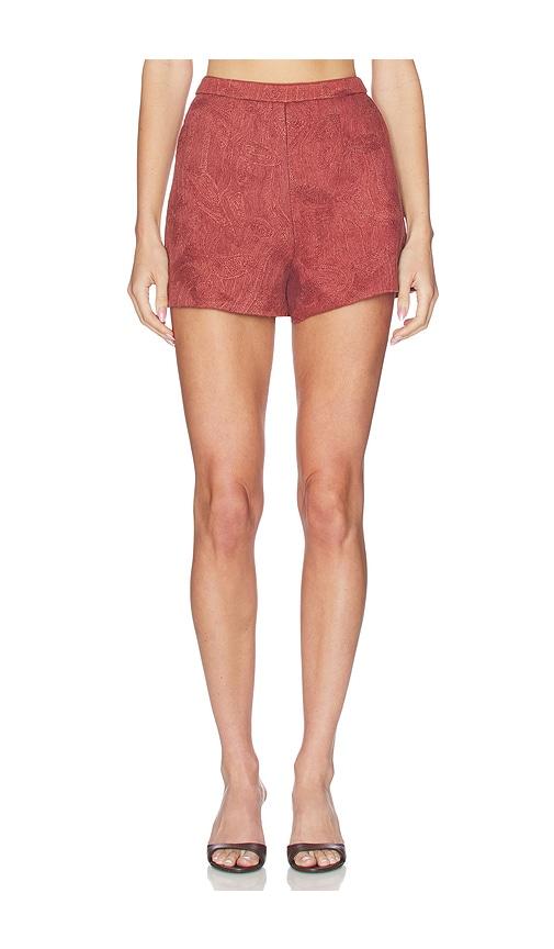 amur kailana raffia shorts in brown.