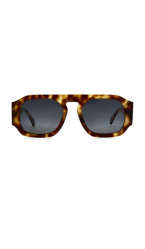 anine bing preston sunglasses in brown.