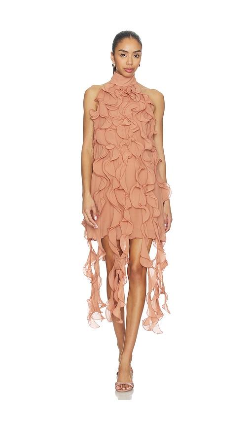 aniye records gaby ruffle dress in rose.