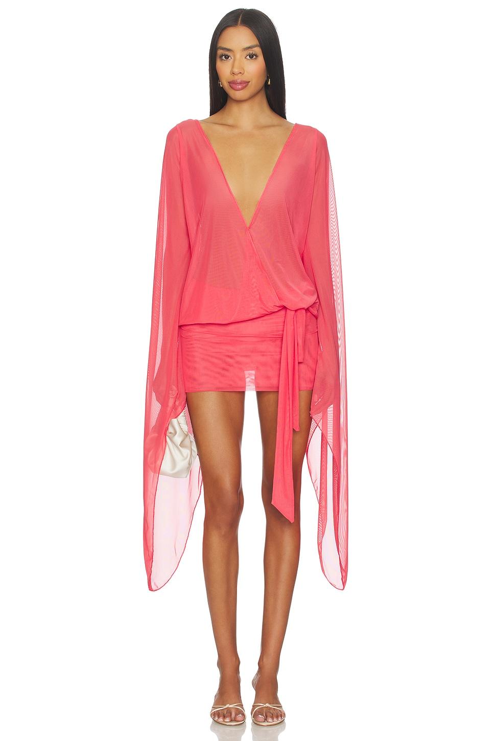 aria mesh mini dress