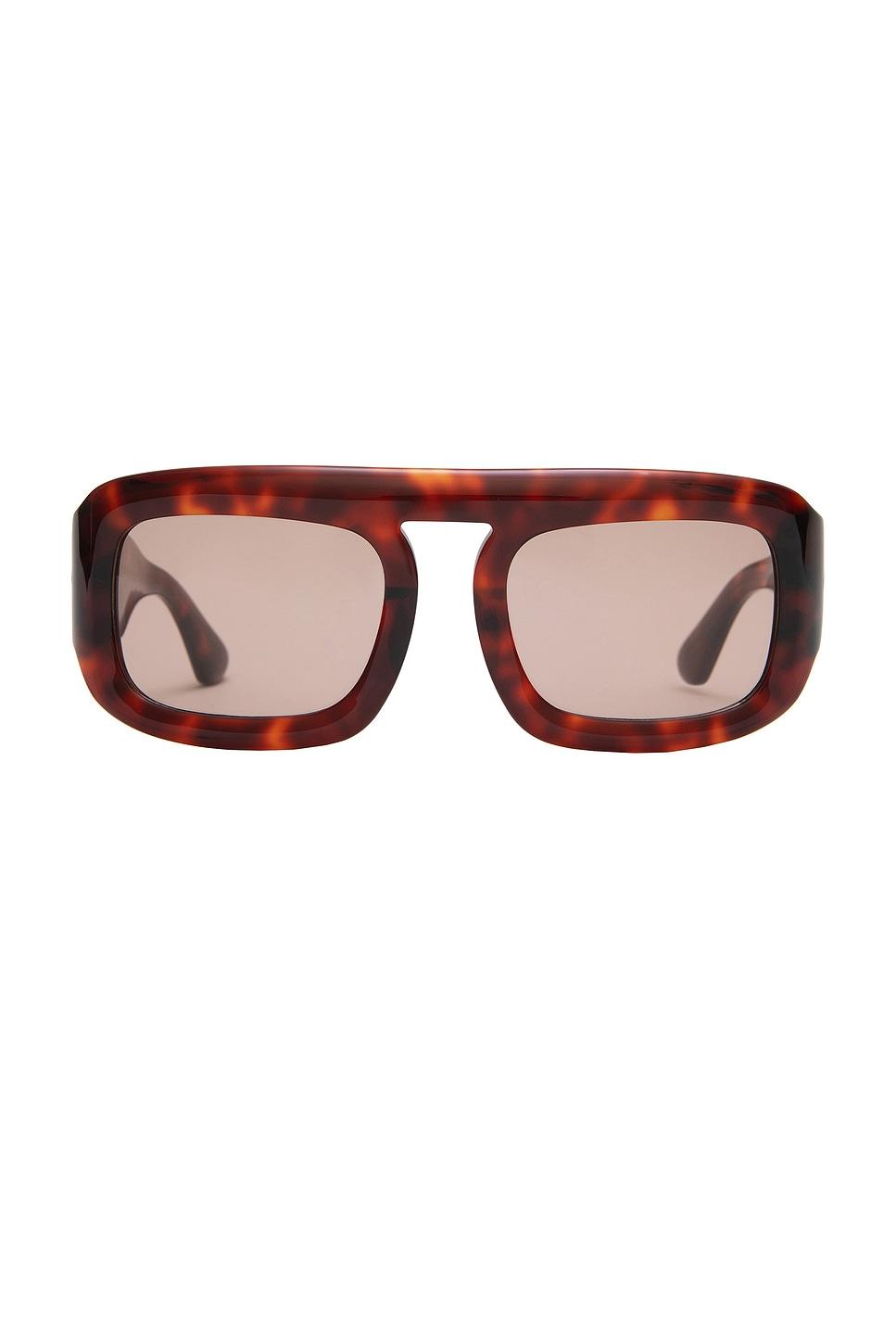 aries sunglasses