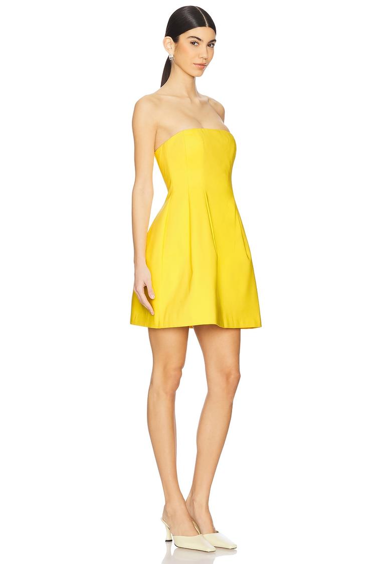 arta bustier mini dress