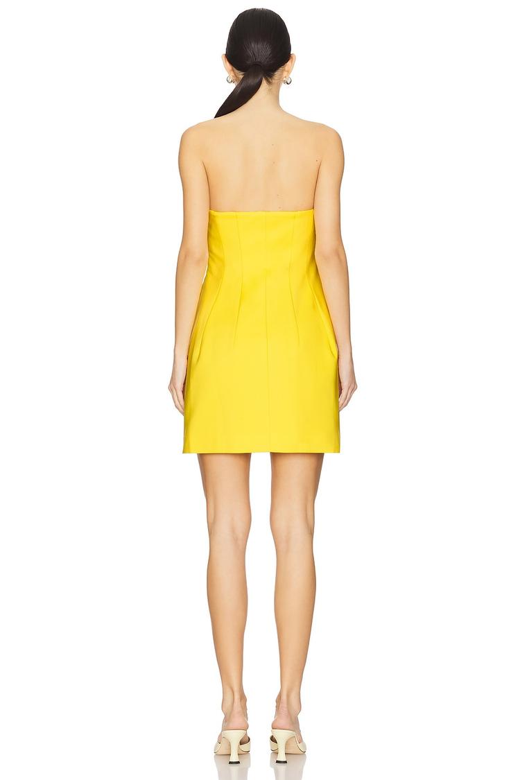 arta bustier mini dress