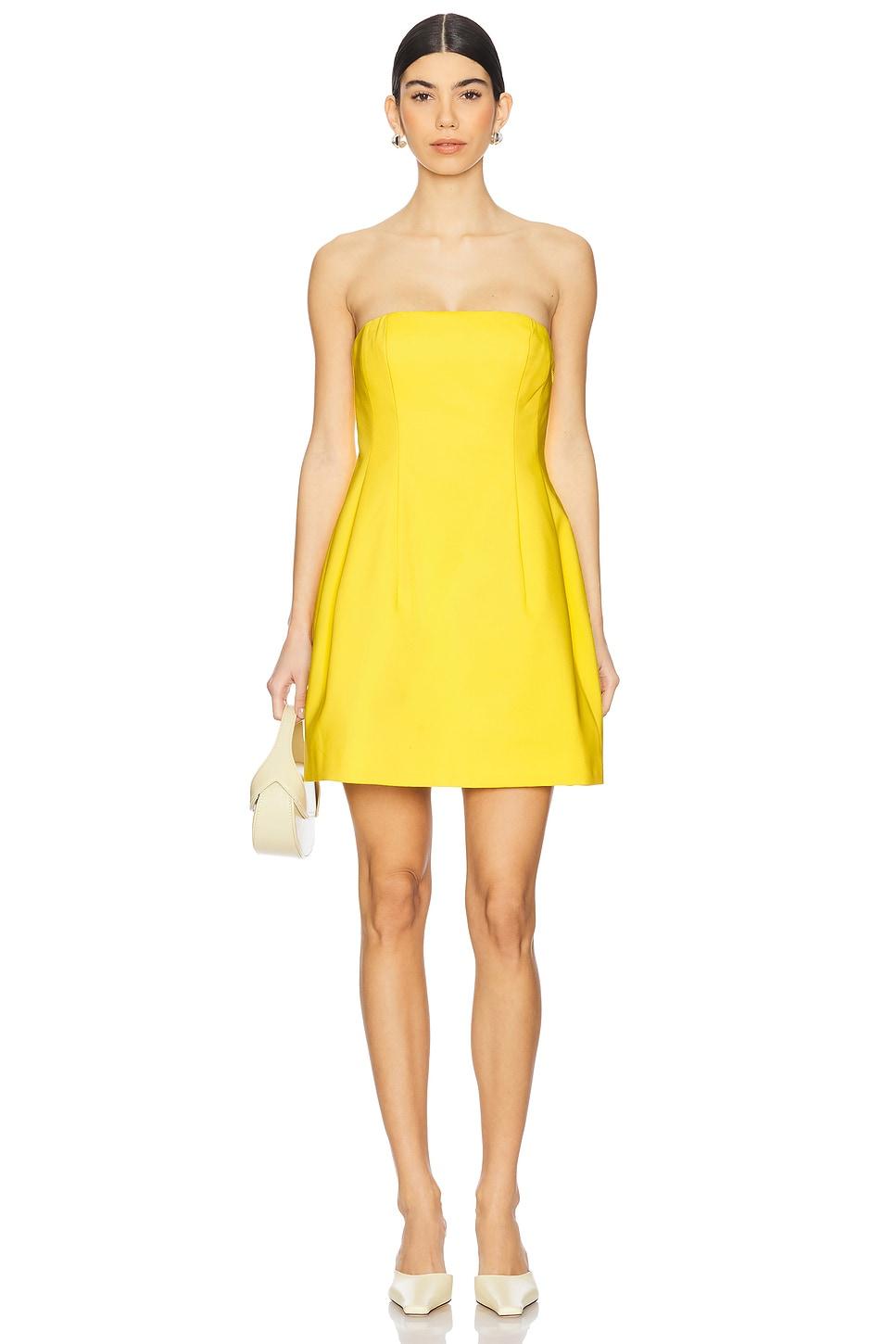 arta bustier mini dress