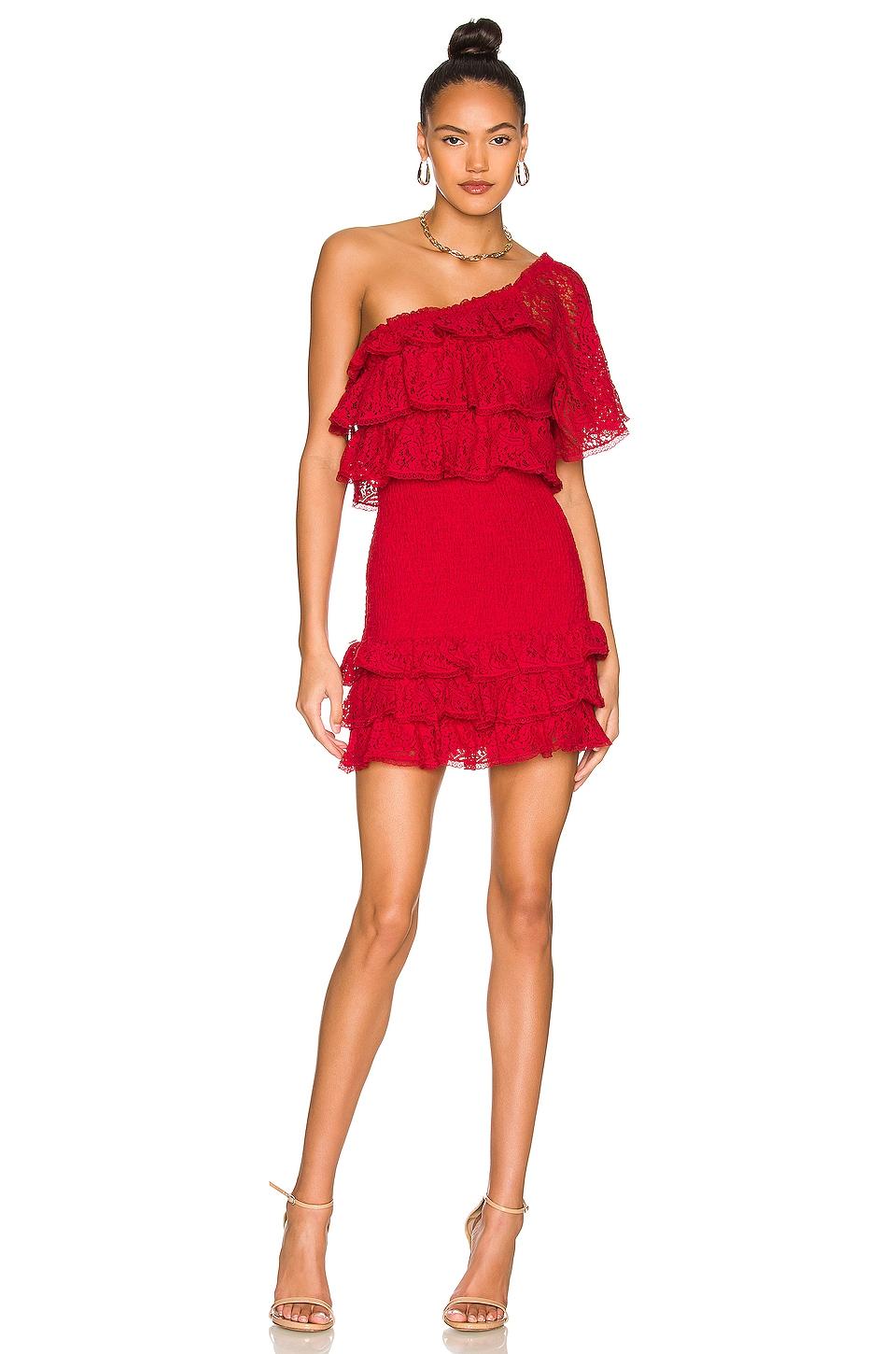 ashley lace mini dress