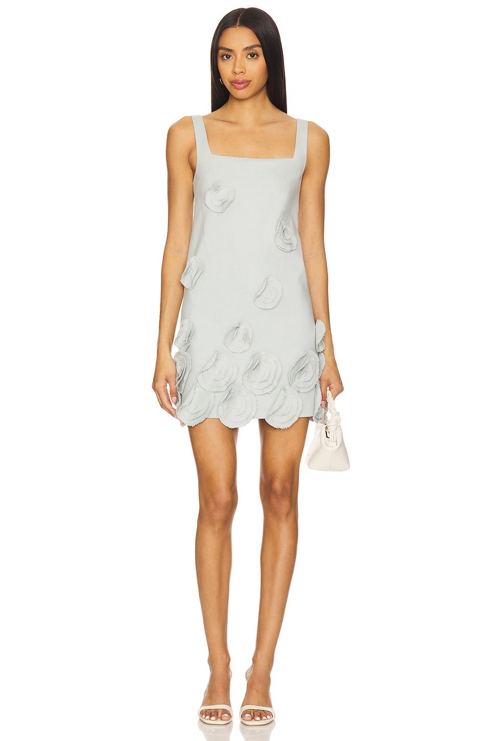 astor dress